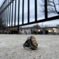 Gümüş Tasarım Aslan İşlemeli Taşlı Özel Seri Erkek Gümüş Yüzük Takı