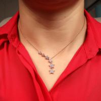 Gümüş Zirkon Taşlı Sıralı Model Yıldız Bayan Kolye Takı
